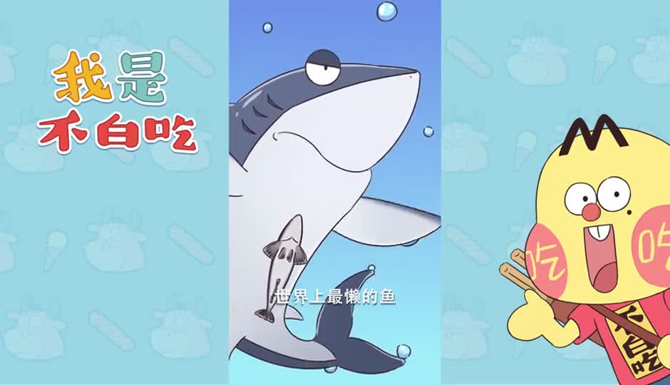䲟鱼
