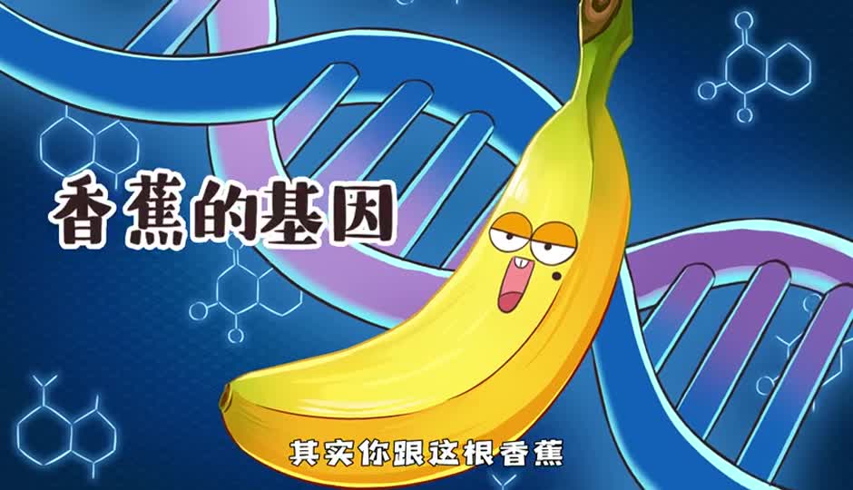 香蕉的基因