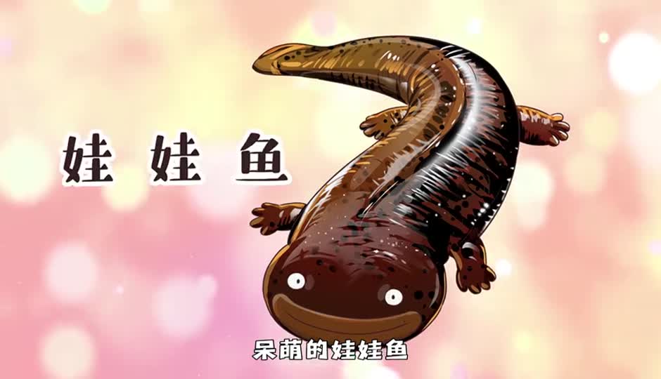 娃娃鱼