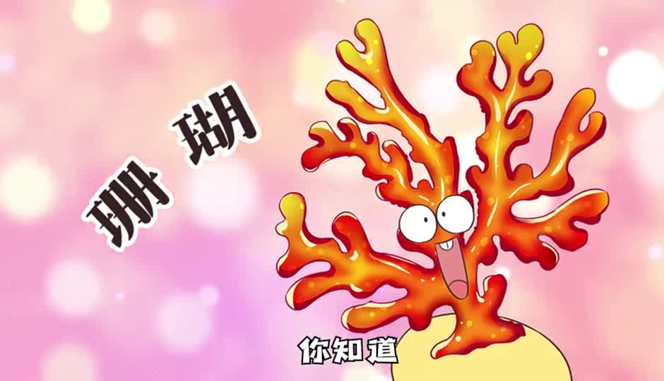 珊瑚