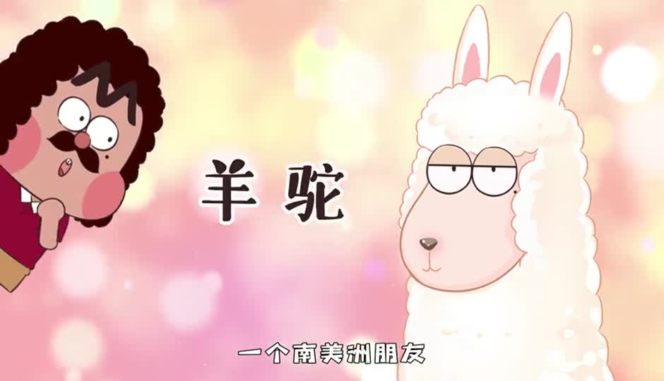 羊驼