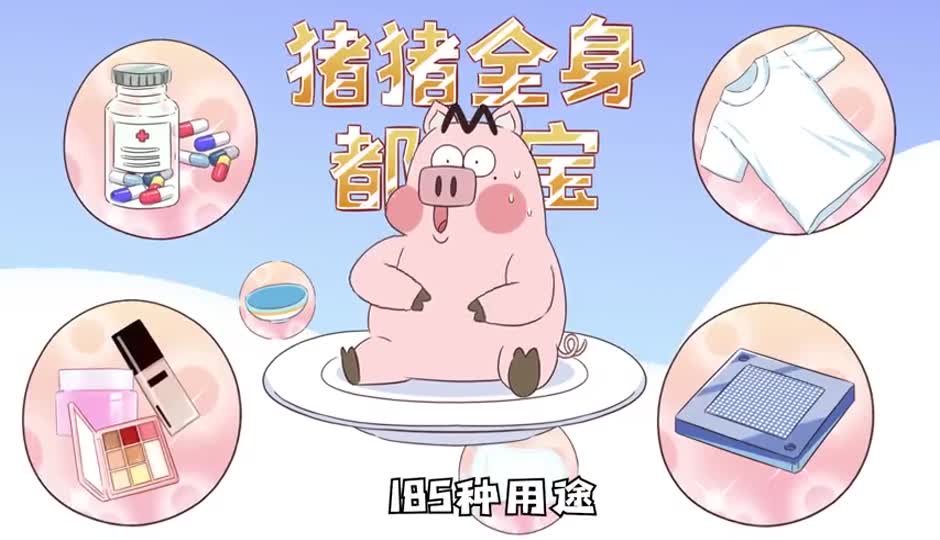 猪猪身上全是宝