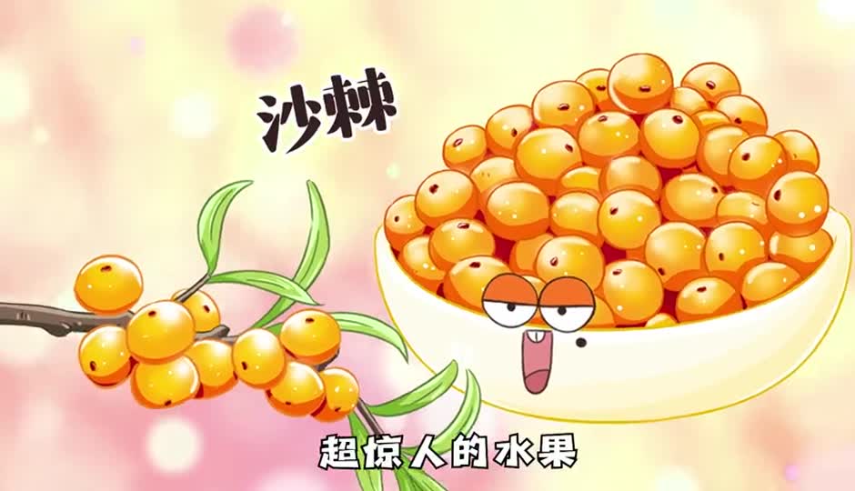 沙棘