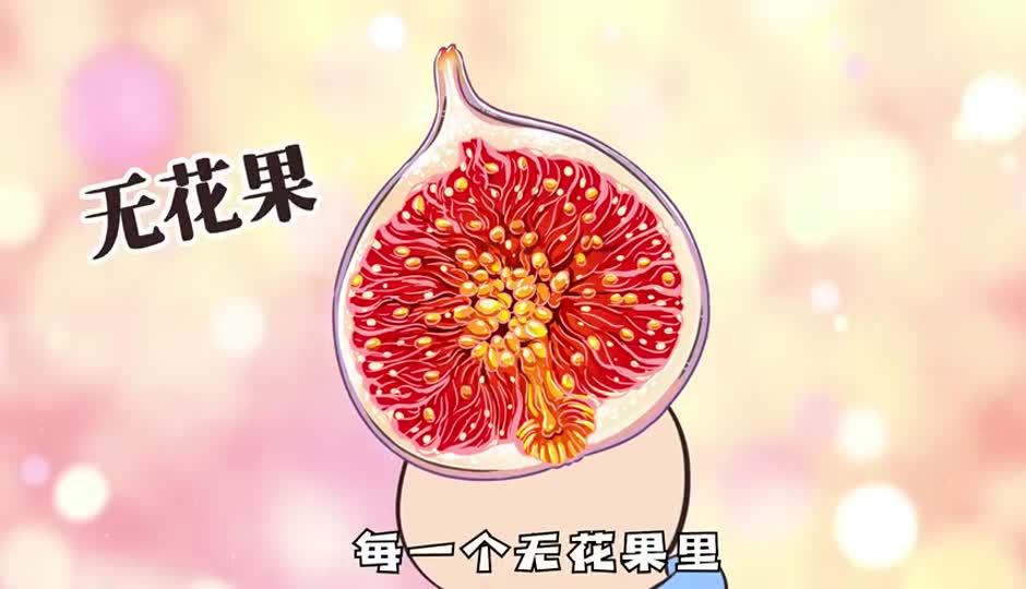 无花果