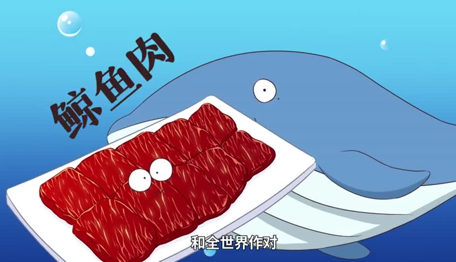 鲸鱼肉