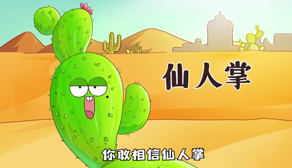 仙人掌