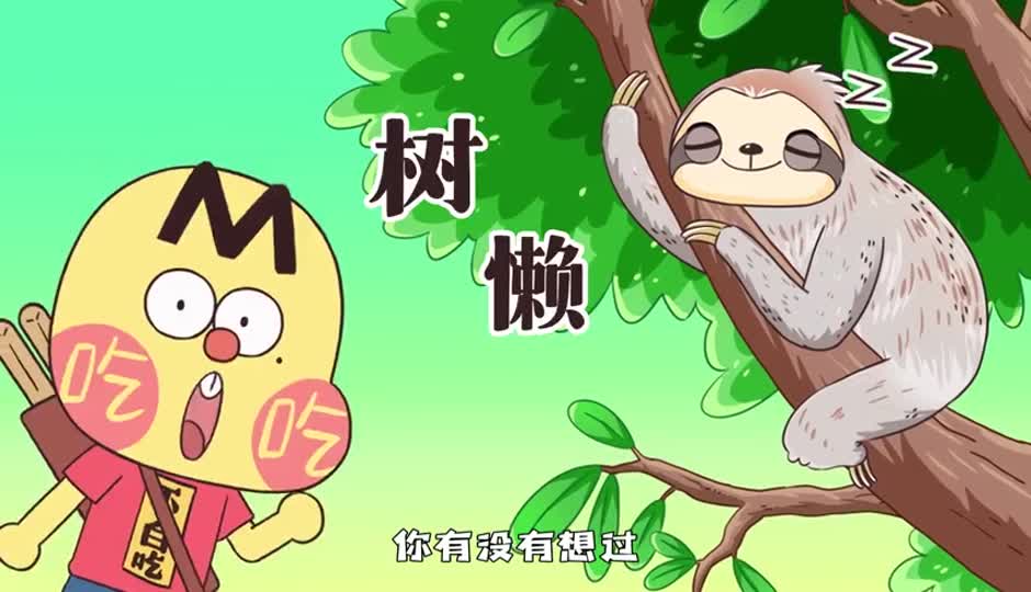 树懒