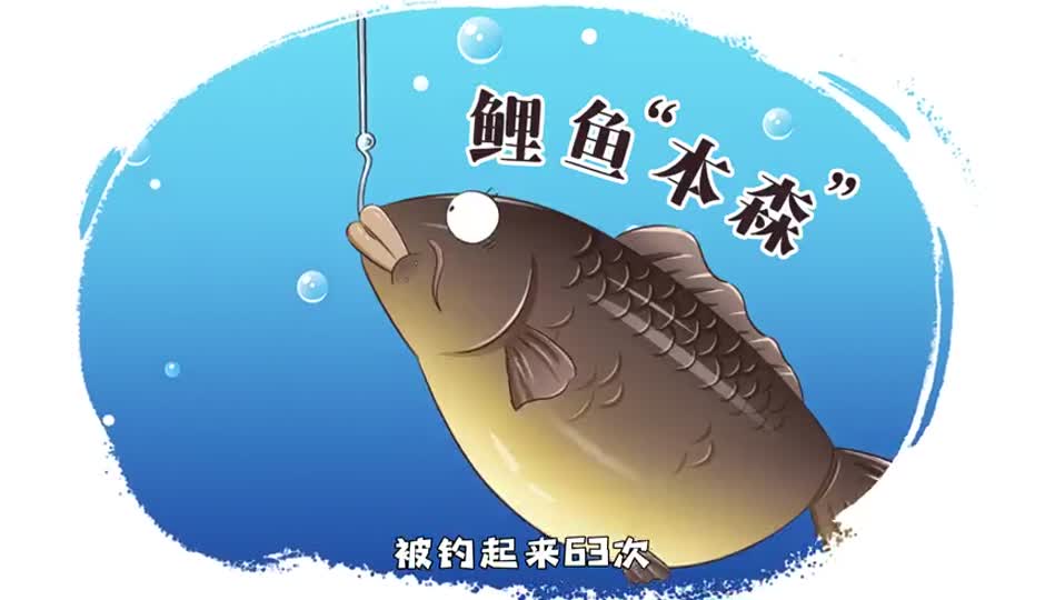 鲤鱼本森