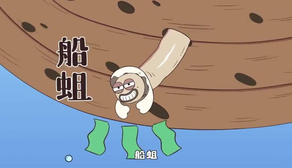 船蛆