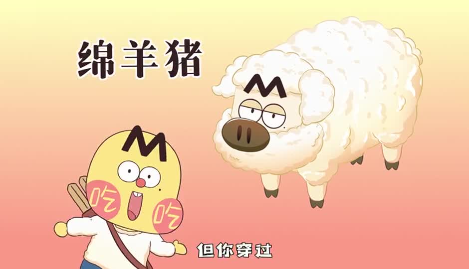 绵羊猪