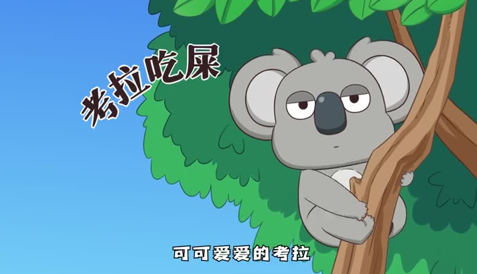 考拉吃屎