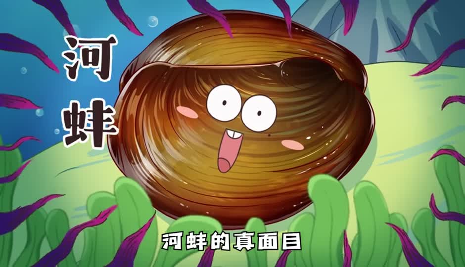 河蚌