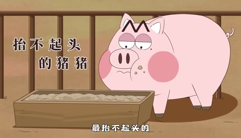 抬不起头的猪猪