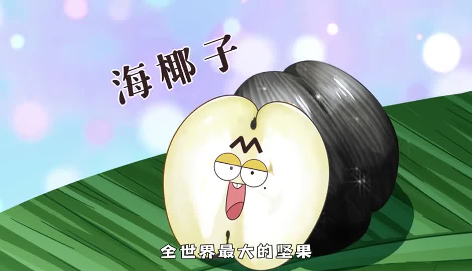 海椰子