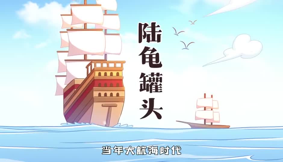 陆龟罐头