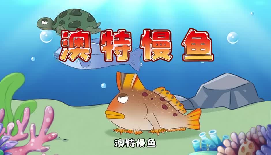手鱼