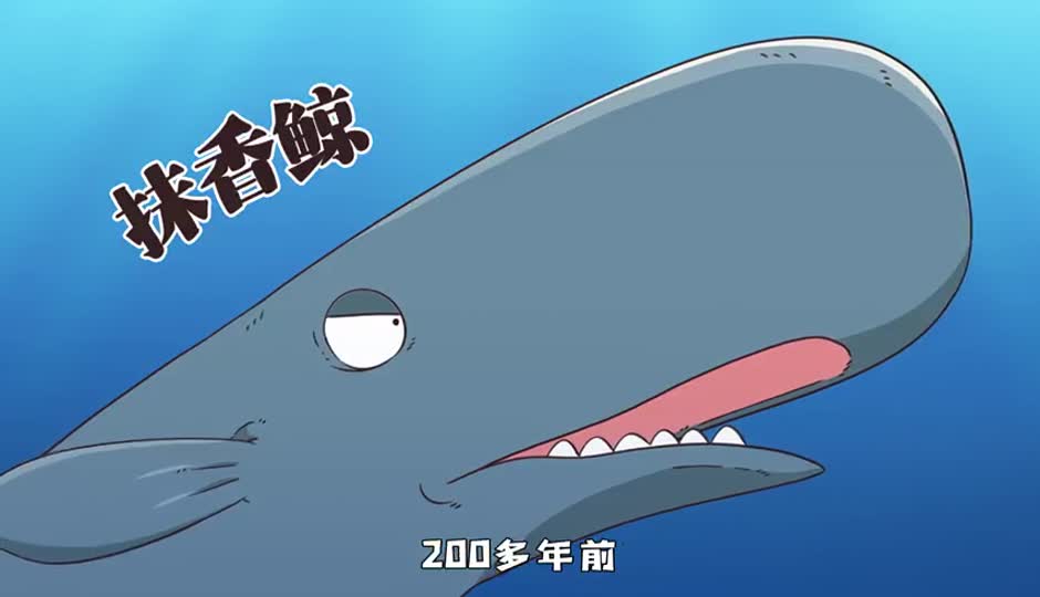 抹香鲸