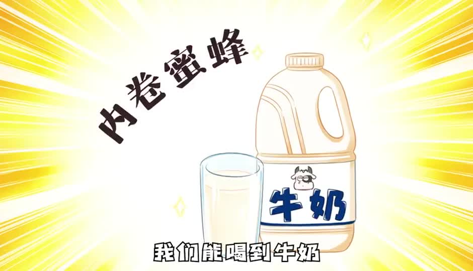 内卷蜜蜂