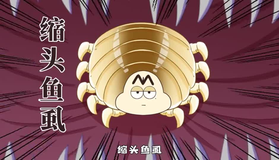 缩头鱼虱