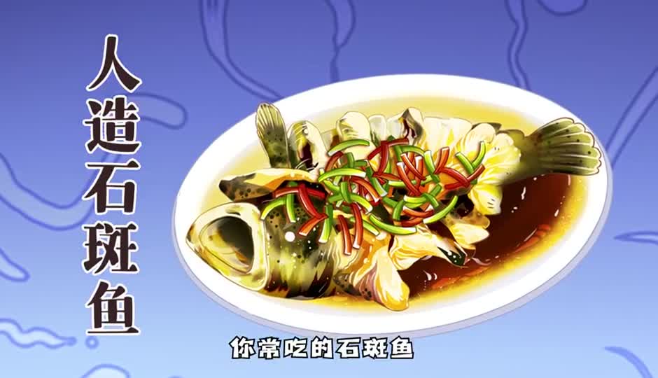 人造石斑鱼