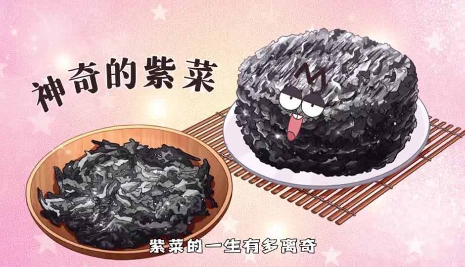 神奇的紫菜
