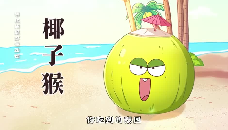 椰子猴
