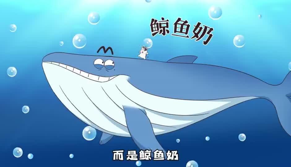 鲸鱼奶