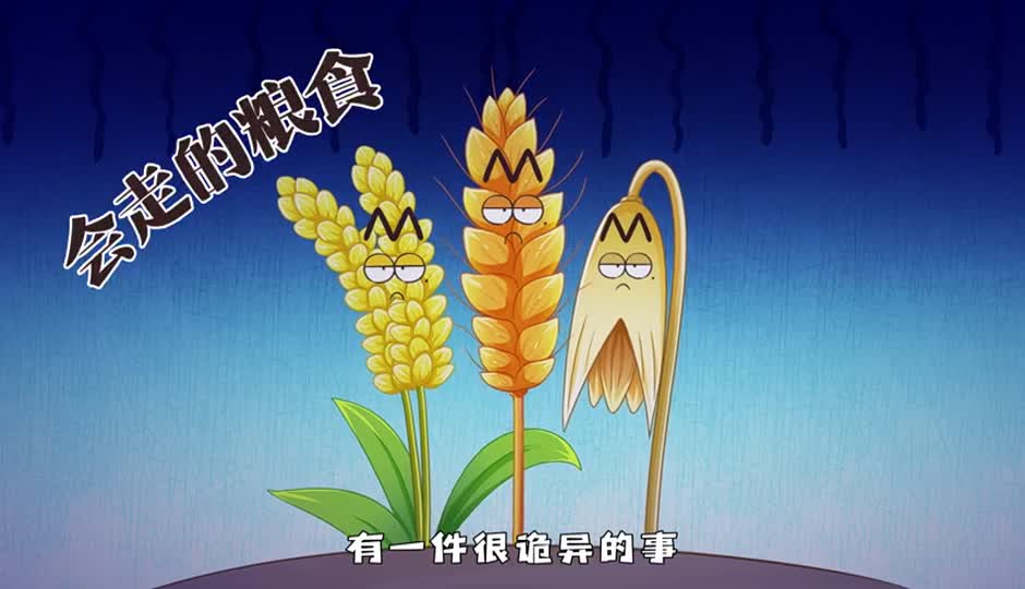 会走的粮食