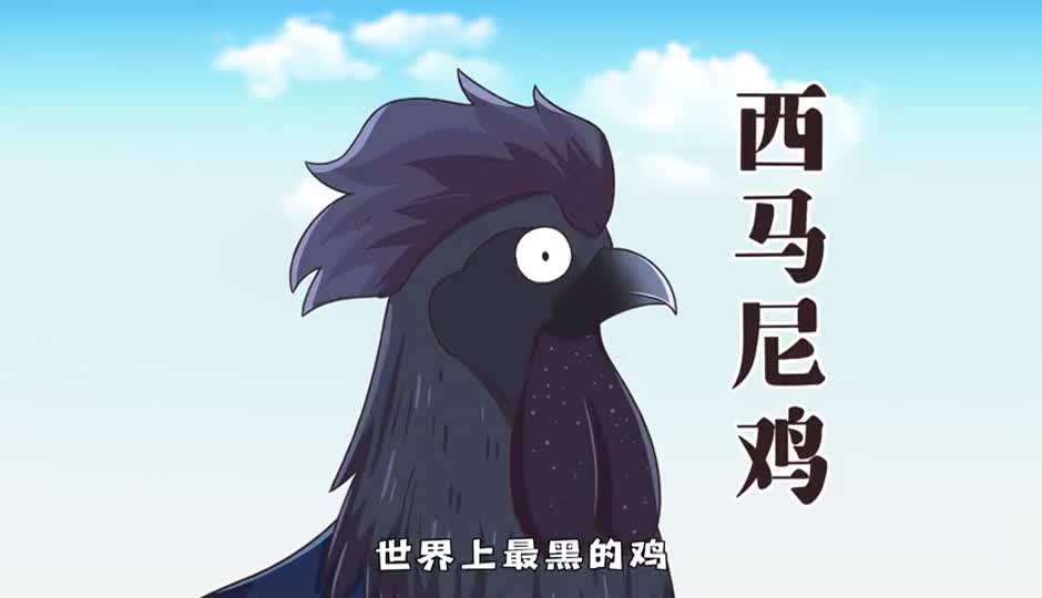 西马尼鸡