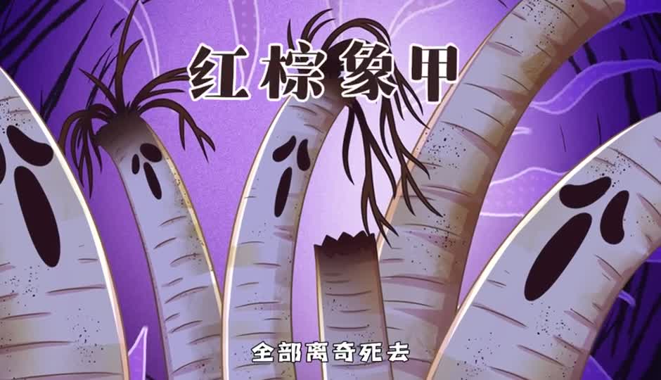 红棕象甲