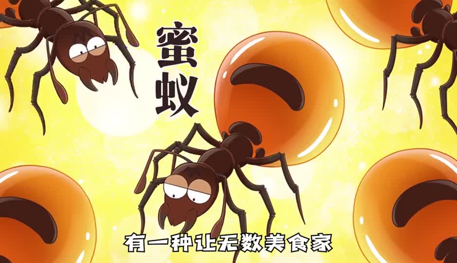 蜜蚁