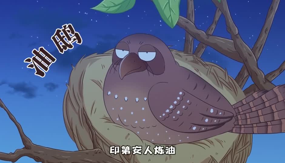 油鸱