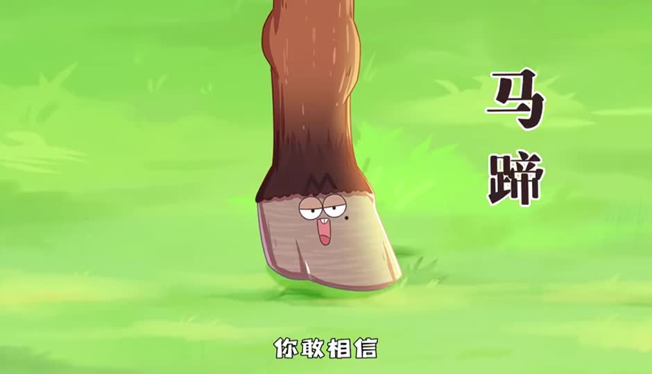 马蹄