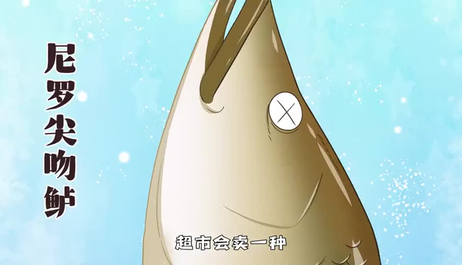 尼罗尖吻鲈