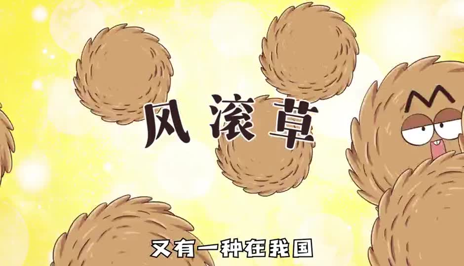 风滚草