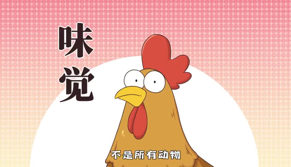 味觉