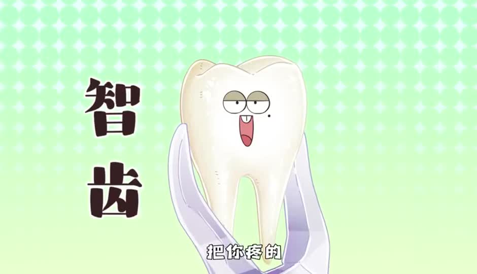 智齿