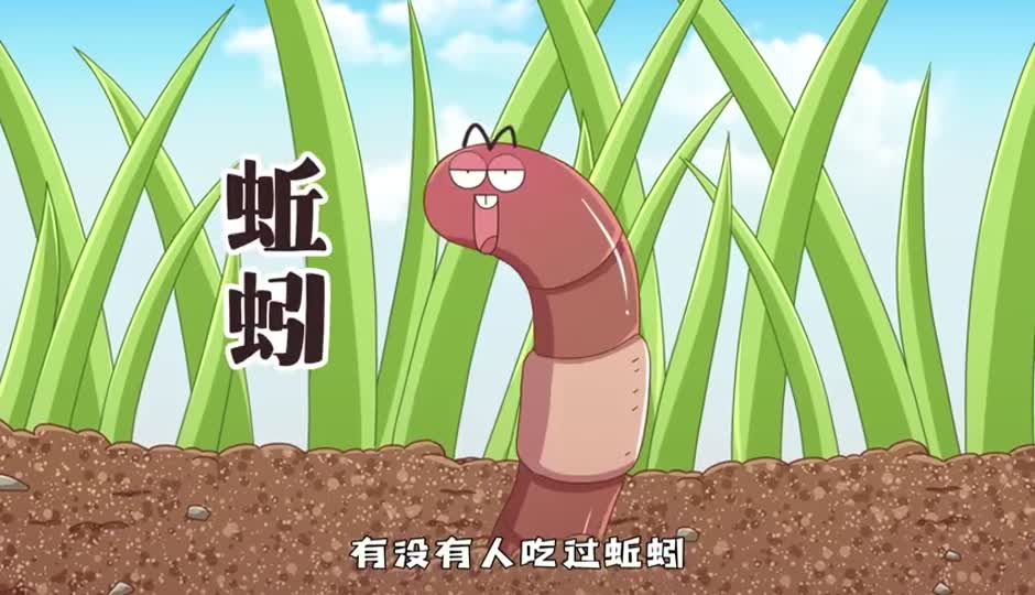 蚯蚓