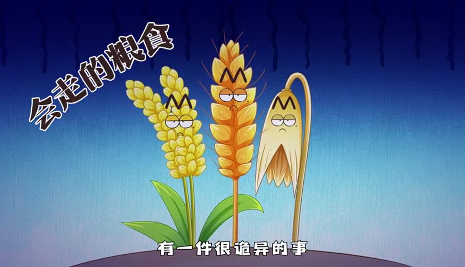 会走的粮食