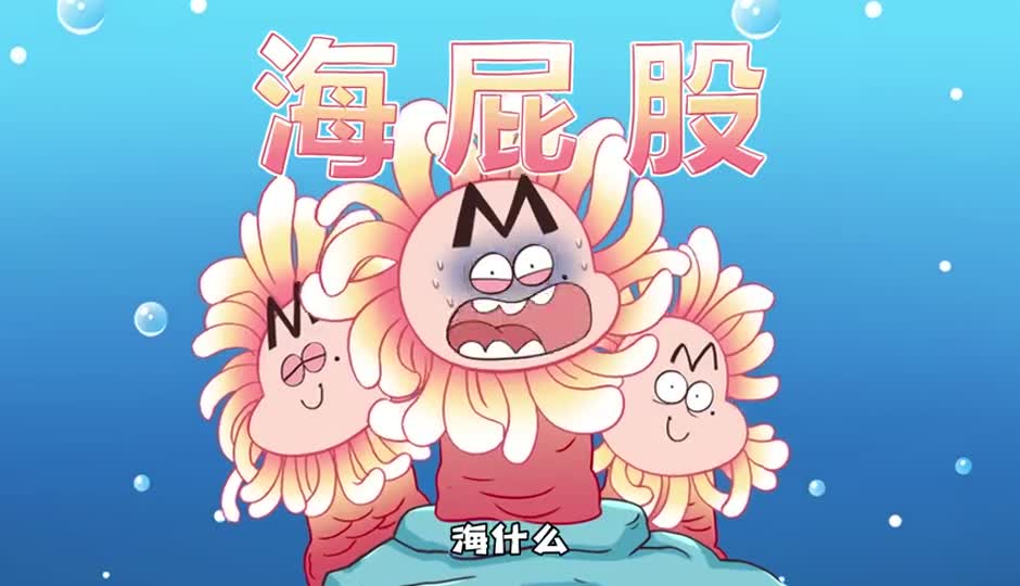 海葵