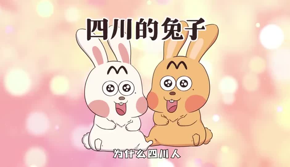 四川的兔子