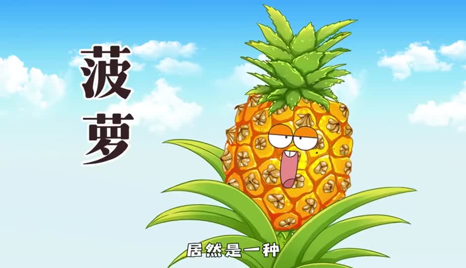 菠萝