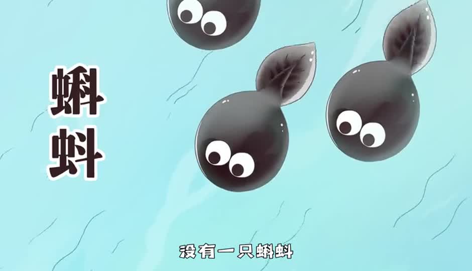 蝌蚪