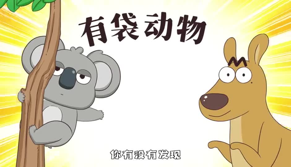 有袋动物