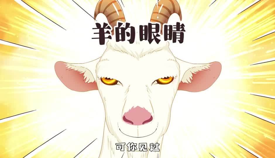 羊的眼睛