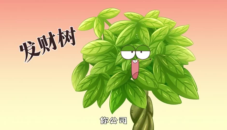 发财树