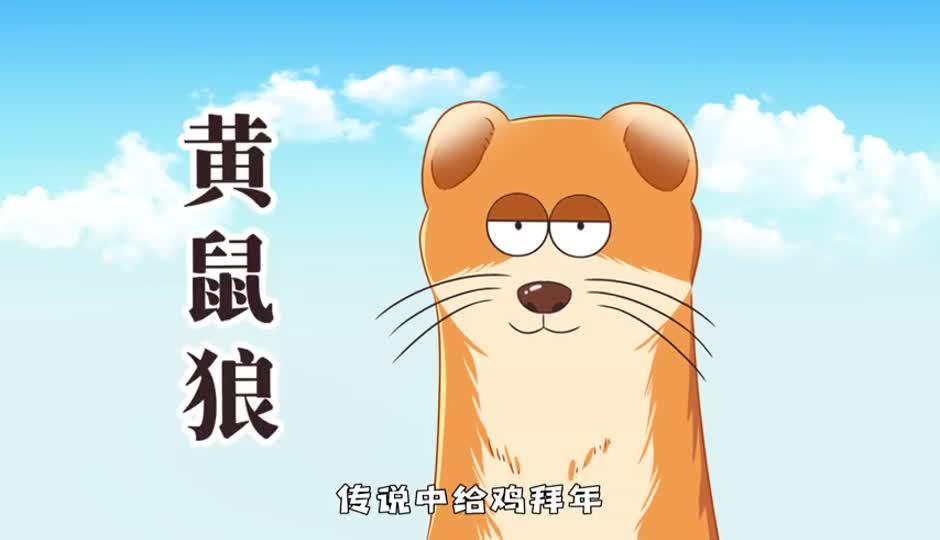 黄鼠狼