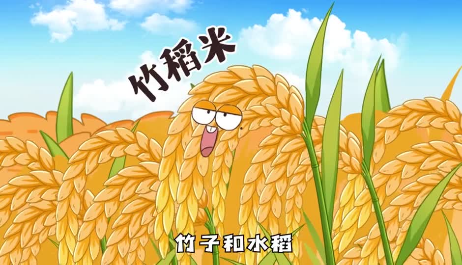 竹稻米