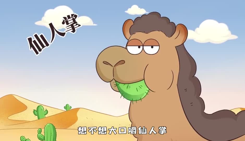 仙人掌