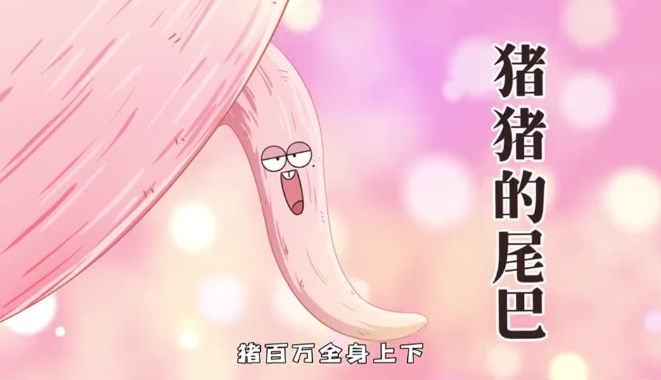 猪猪的尾巴
